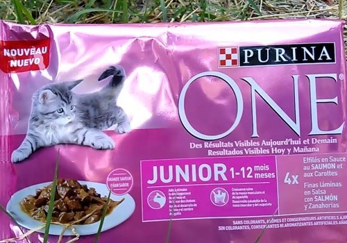 Recibe gratis muestras de Purina One Junior 